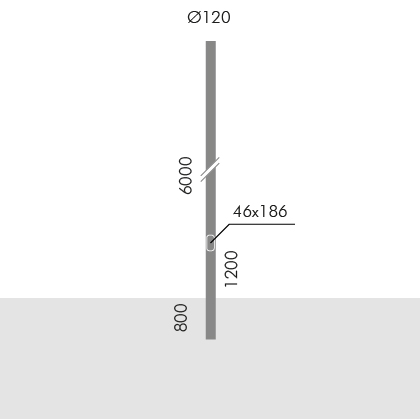 S.2829