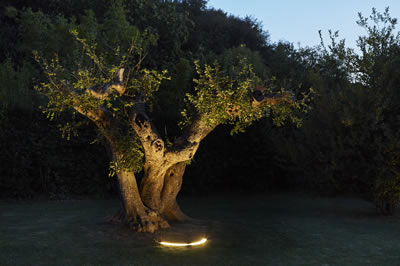 MINILINEAR - MINIROUND